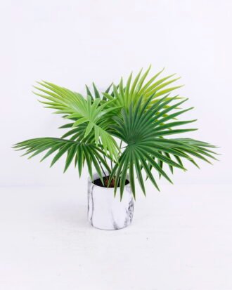 Artificial Plant 43*40*33cm Kwai in Cement pot GS-03320073 Potted Flowers&Plants YeahFlower is one of Chinese leading OEM manufacturers and exporters , supplying the silk flowers, wholesale artificial trees Artificial Plant 43*40*33cm Kwai in Cement pot GS-03320073