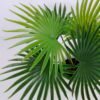 Artificial Plant 43*40*33cm Kwai in Cement pot GS-03320073