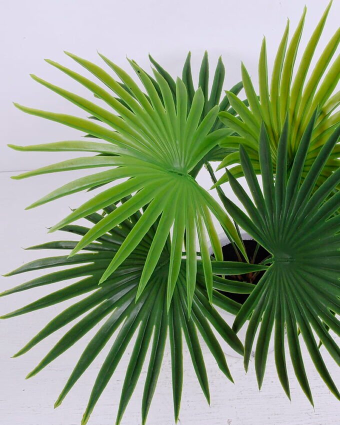 Artificial Plant 43*40*33cm Kwai in Cement pot GS-03320073