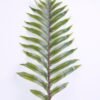 Artificial Plant 29*117CM Kwai leaf GS-48620016