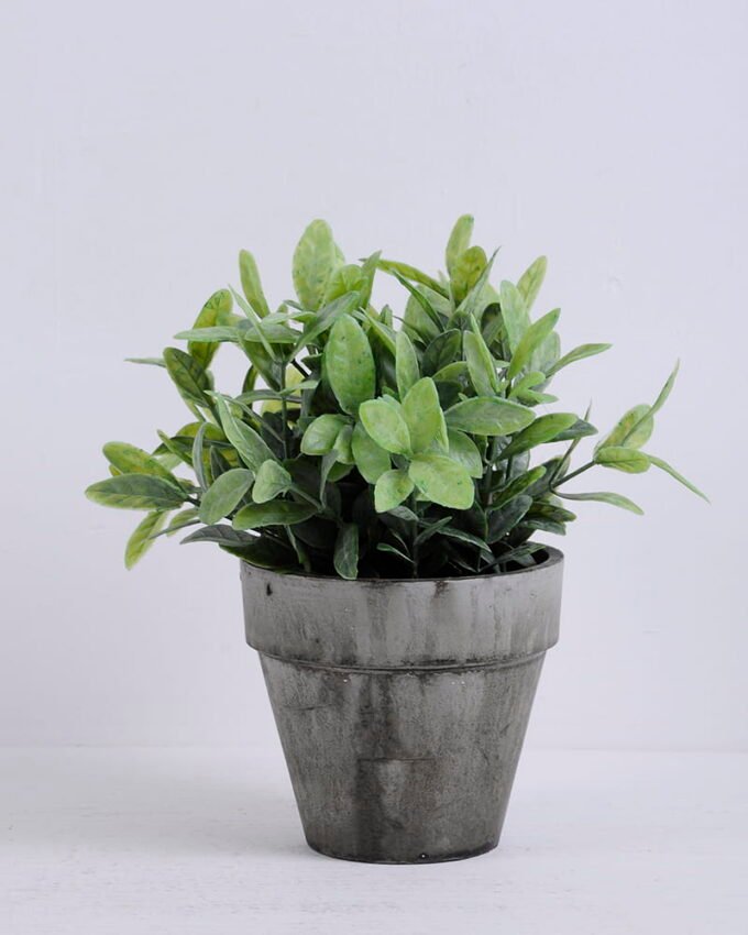 Artificial Plant Leaves in paper potS GS-06920060_3 Artificial Plant 19*17*19cm Leaves in paper pot(S) GS-06920060