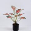 Artificial Plant 33*38*39CM  Leaves in plastic pot GS-06020005
