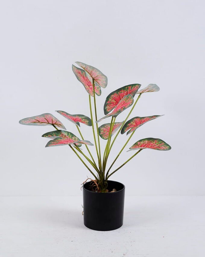 Artificial Plant 33*38*39CM  Leaves in plastic pot GS-06020005