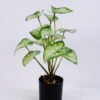 Artificial Plant 30*32*37CM  Leaves in plastic pot GS-06020006