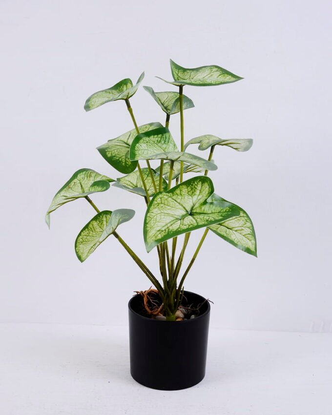 Artificial Plant 30*32*37CM  Leaves in plastic pot GS-06020006