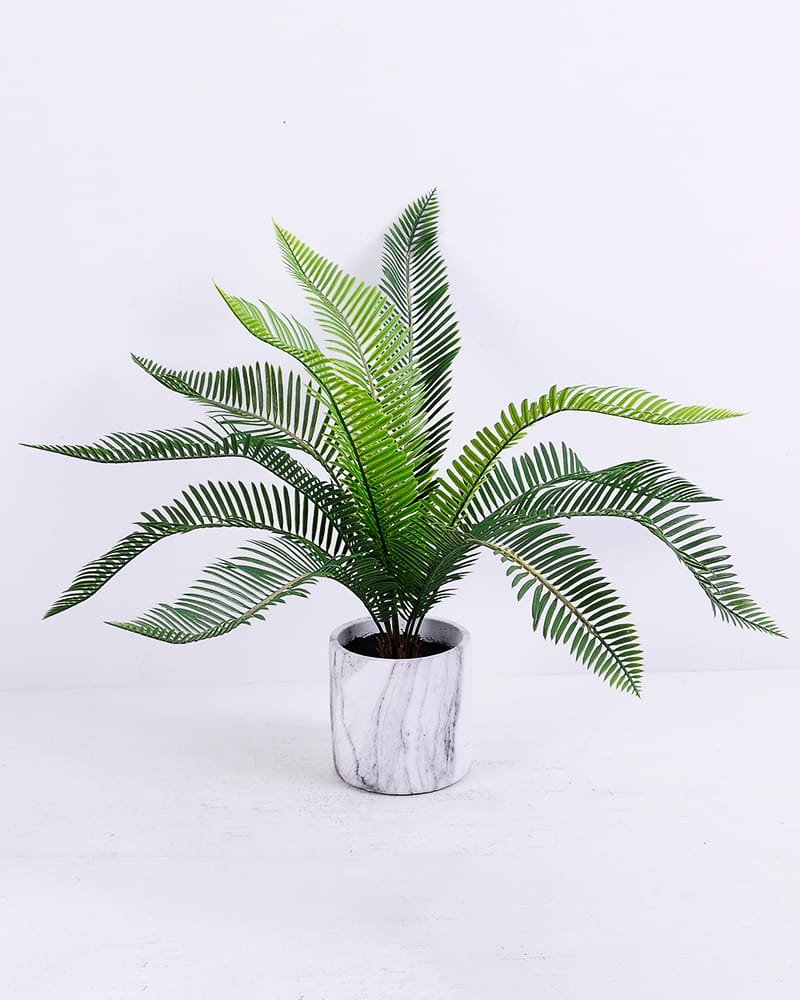 Artificial Plant 50*50*38cm Sago cycas in cement pot GS-03320074