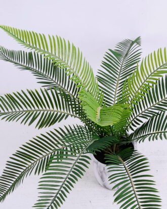 Artificial Plant 50*50*38cm Sago cycas in cement pot GS-03320074