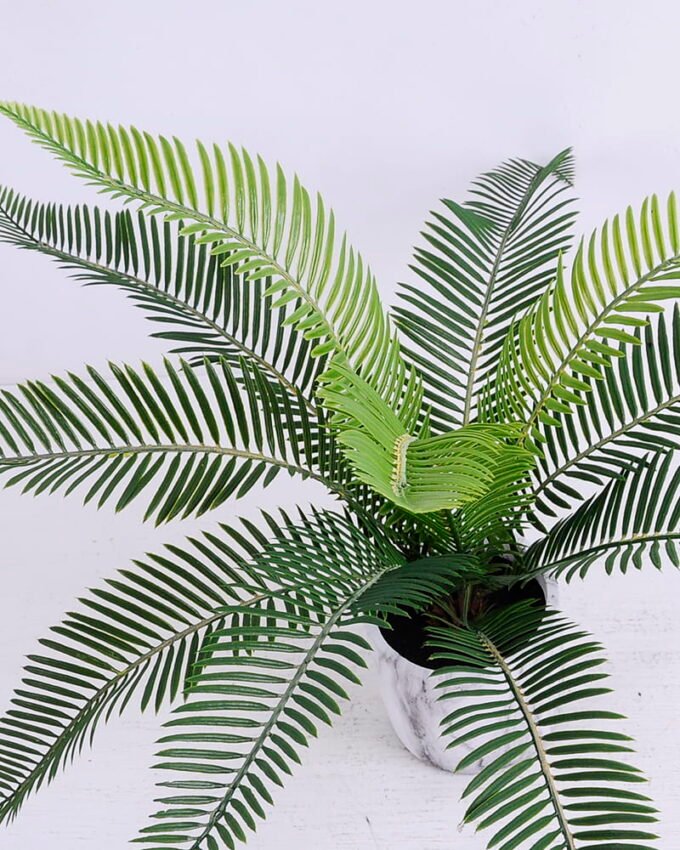 Artificial Plant 50*50*38cm Sago cycas in cement pot GS-03320074