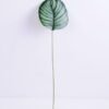 Artificial Plant 16*64CM Singel leaf GS-14520010