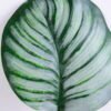 Artificial Plant 16*64CM Singel leaf GS-14520010