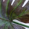Artificial Plant Single leaves son GVC-20-2722