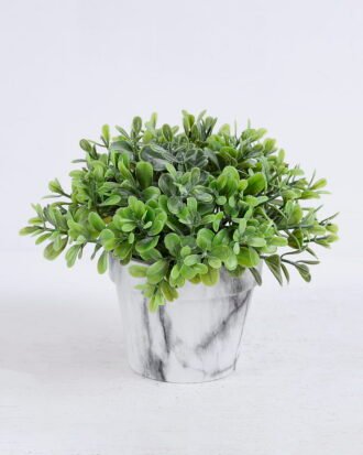 Artificial Plant 18*18*15cm Succulent plants in paper pot GS-51720181 Potted Flowers&Plants YeahFlower is one of Chinese leading OEM manufacturers and exporters , supplying the silk flowers, wholesale artificial trees Artificial Plant 18*18*15cm Succulent plants in paper pot GS-51720181