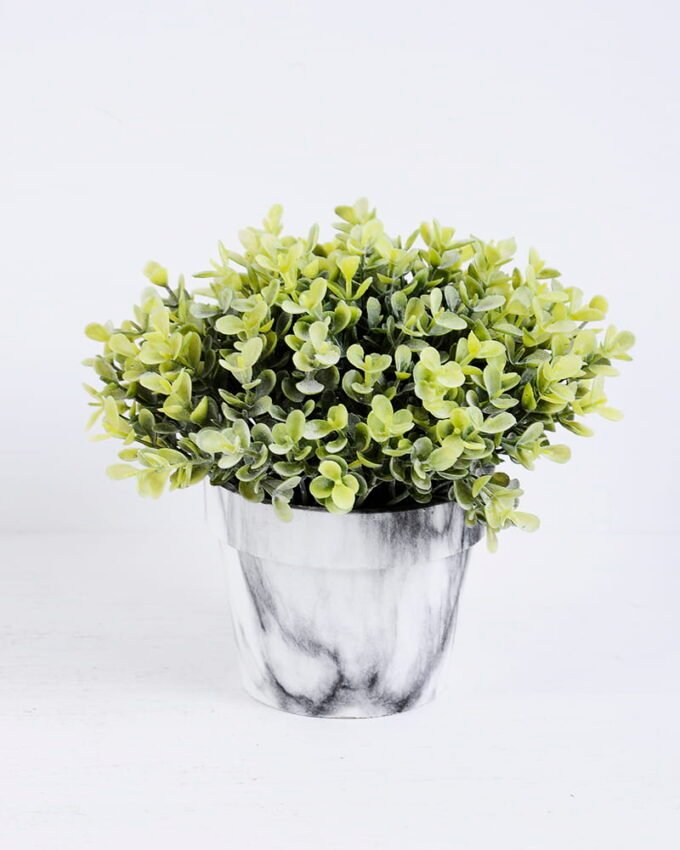 Artificial Plant Succulent plants in paper pot GS-51720182_1 Artificial Plant 20*20*16cm Succulent plants in paper pot GS-51720182