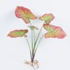Artificial Plant 39*57CM Taro leaves bush*5 GS-39120003