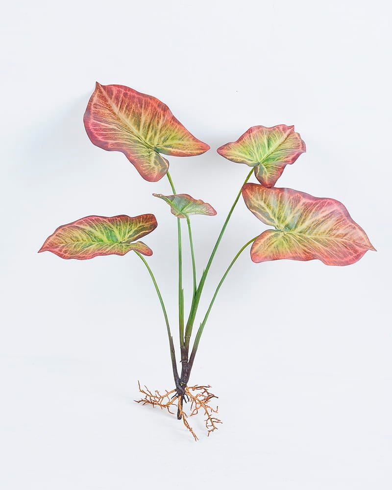 Artificial Plant 39*57CM Taro leaves bush*5 GS-39120003