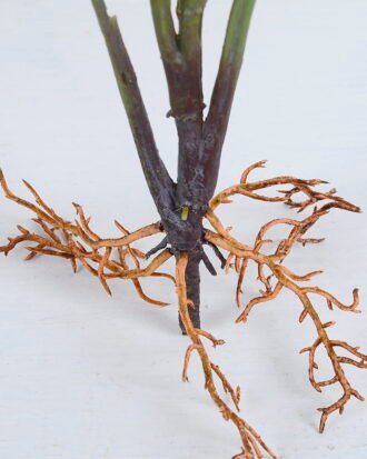 Artificial Plant 39*57CM Taro leaves bush*5 GS-39120003 Potted Flowers&Plants YeahFlower is one of Chinese leading OEM manufacturers and exporters , supplying the silk flowers, wholesale artificial trees Artificial Plant 39*57CM Taro leaves bush*5 GS-39120003