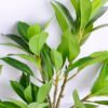 Artificial Plant 30*79cm leaves spray GS-48320022