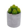 Artificial Plant 10*10*16cm succulent plants in cement pot GS-51720167