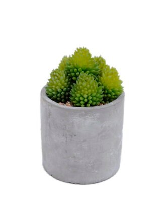 Artificial Plant 10*10*16cm succulent plants in cement pot GS-51720167 Potted Flowers&Plants YeahFlower is one of Chinese leading OEM manufacturers and exporters , supplying the silk flowers, wholesale artificial trees Artificial Plant 10*10*16cm succulent plants in cement pot GS-51720167