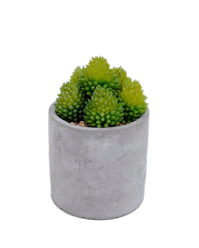 Artificial Plant 10*10*16cm succulent plants in cement pot GS-51720167