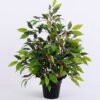 Artificial Tree 53CM Banyan bonsai in Plastic Pot GS-0339731-G2