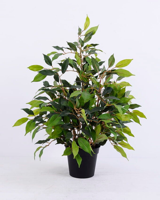 Artificial Tree 53CM Banyan bonsai in Plastic Pot GS-0339731-G2