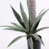 Artificial Tree 70*65*155CM Agave tree GS-43420005