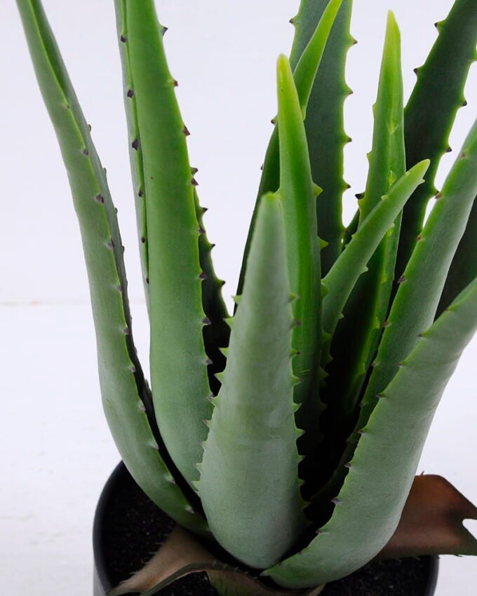 Artificial Tree 30*36CM Aloe In Pot/lvs13 GS-59520010