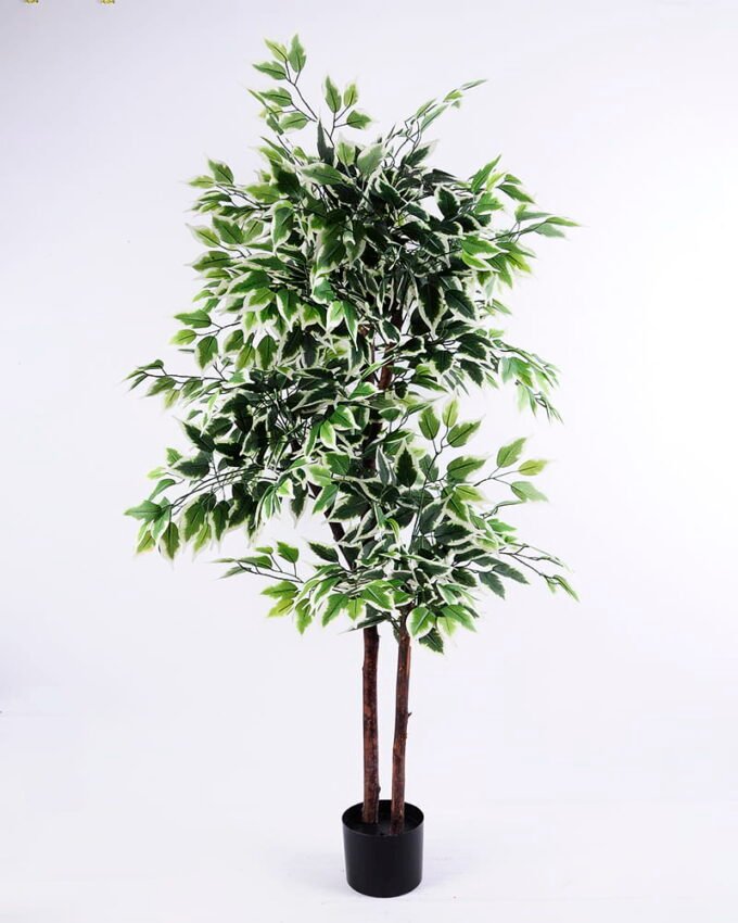 Artificial Tree 85*87*150CM Ficus in the plastic pot/lvs798 GS-30420025-W1
