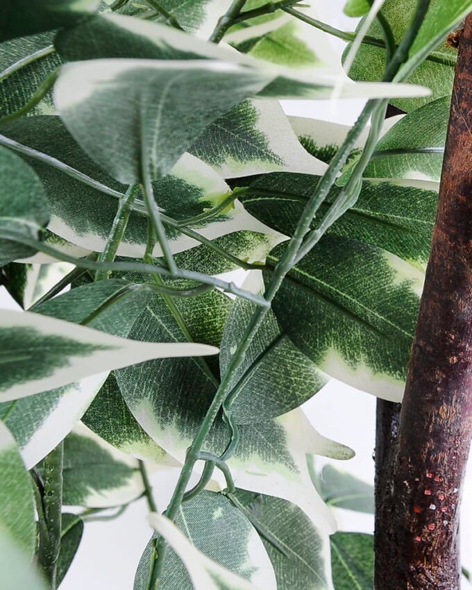 Artificial Tree 85*87*150CM Ficus in the plastic pot/lvs798 GS-30420025-W1