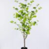 Artificial Tree 60*60*120CM Flippers tree GS-43420004