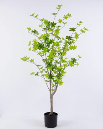 Artificial Tree 60*60*120CM Flippers tree GS-43420004 Tree&Plant YeahFlower is one of Chinese leading OEM manufacturers and exporters , supplying the silk flowers, wholesale artificial trees Artificial Tree 60*60*120CM Flippers tree GS-43420004