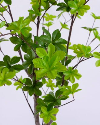 Artificial Tree 60*60*120CM Flippers tree GS-43420004 Tree&Plant YeahFlower is one of Chinese leading OEM manufacturers and exporters , supplying the silk flowers, wholesale artificial trees Artificial Tree 60*60*120CM Flippers tree GS-43420004