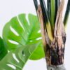 Artificial Tree 90*65*120CM Monstera tree*10LVS GS-48518017RPP0P2
