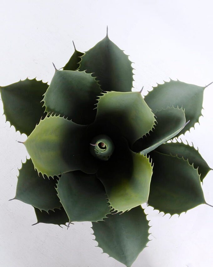 Artificial Tree 42*46CM Potted Tree In Plastic Pot/Lvs17 GS-59520025-G2