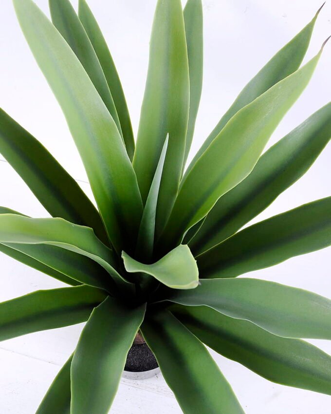 Artificial Tree 60*75CM Potted Tree In Plastic Pot/Lvs21 GS-59520021-G2