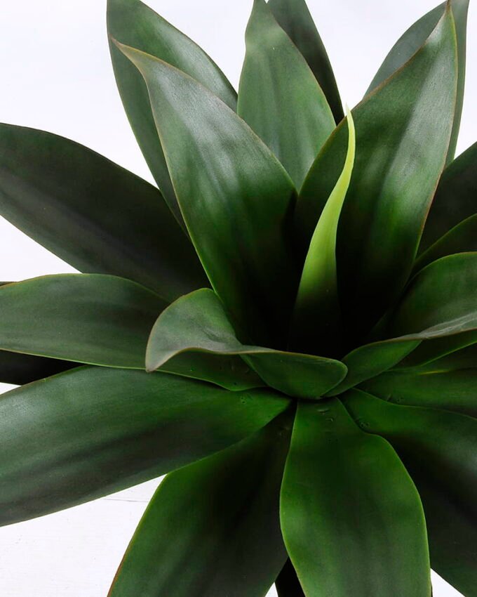 Artificial Tree 70*48CM Potted Tree In Plastic Pot/Lvs21 GS-59520027-G3