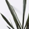 Artificial Tree 70*120CM Sansevieria in plastic pot/26LVS GS-59520032