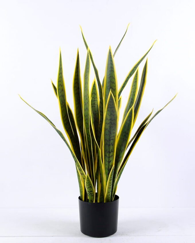 Artificial Tree 60*90CM Sansevieria in plastic pot/27LVS GS-59520034
