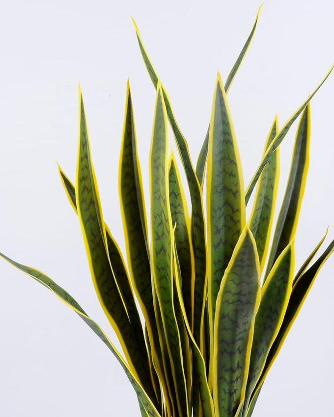 Artificial Tree 60*90CM Sansevieria in plastic pot/27LVS GS-59520034