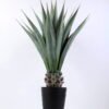 Artificial Tree Sisal In Plastic Pot/Lvs24 GS-59520003