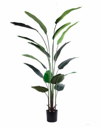 Artificial Tree 100*80*190CM trelitziaceae tree/16LVS GS-49720002