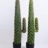 Artificial succulent 18*18*106CM Cactus in plastic pot GS-48520037
