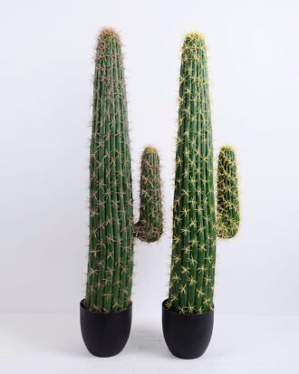 Artificial succulent 18*18*106CM Cactus in plastic pot GS-48520037 Succulent YeahFlower is one of Chinese leading OEM manufacturers and exporters , supplying the silk flowers, wholesale artificial trees Artificial succulent 18*18*106CM Cactus in plastic pot GS-48520037