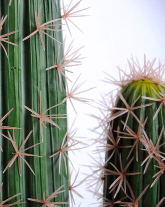 Artificial succulent 18*18*106CM Cactus in plastic pot GS-48520037 Succulent YeahFlower is one of Chinese leading OEM manufacturers and exporters , supplying the silk flowers, wholesale artificial trees Artificial succulent 18*18*106CM Cactus in plastic pot GS-48520037