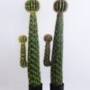 Artificial succulent 27*19*120CM Cactus in plastic pot GS-48520040