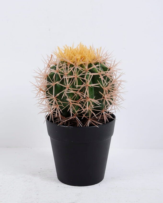 Artificial succulent 11*11*18CM Cactus in plastic pot GS-48520043-K1