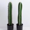 Artificial succulent 13*13*55CM Cactus in plastic pot GS-48520046