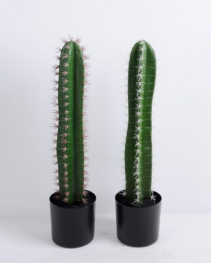 Artificial succulent 13*13*55CM Cactus in plastic pot GS-48520046