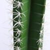 Artificial succulent 13*13*55CM Cactus in plastic pot GS-48520046